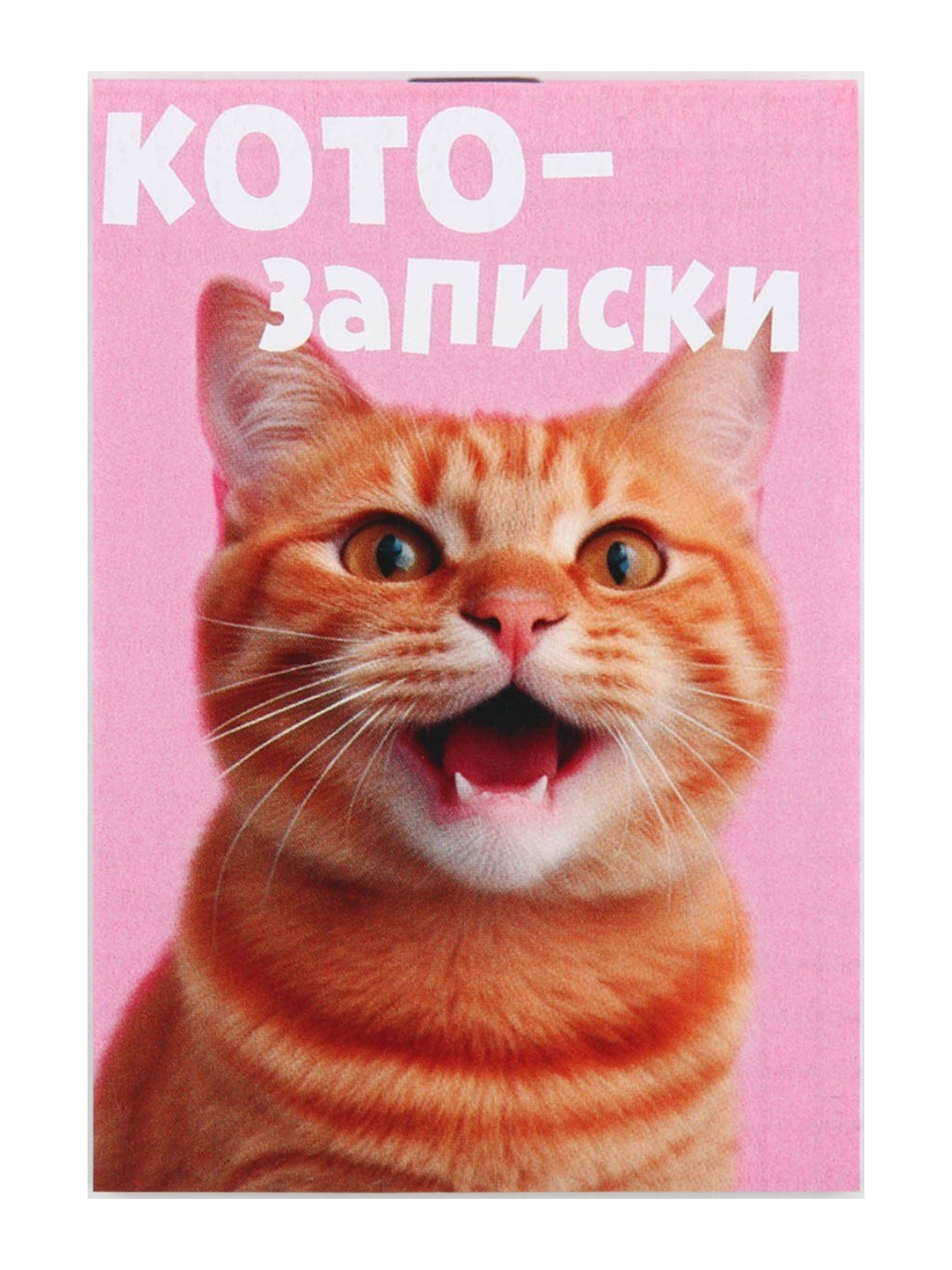 Блокнот А7, 16 листов «Котозаписки»